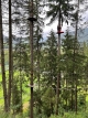 gal/2024/08 Murau/_thb_image045.jpg